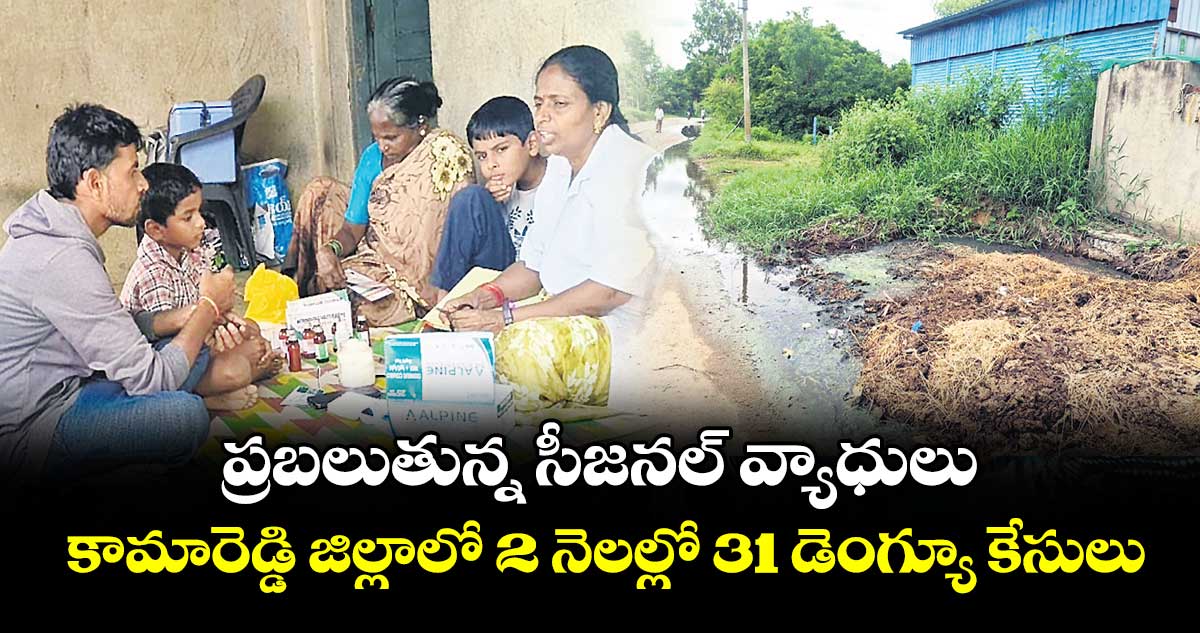ప్రబలుతున్న సీజనల్ వ్యాధులు .. కామారెడ్డి జిల్లాలో 2 నెలల్లో 31 డెంగ్యూ కేసులు
