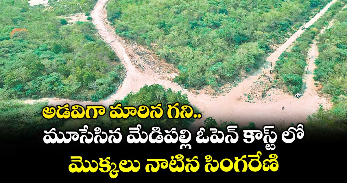 అడవిగా మారిన గని..మూసేసిన మేడిపల్లి ఓపెన్ కాస్ట్ లో మొక్కలు నాటిన సింగరేణి