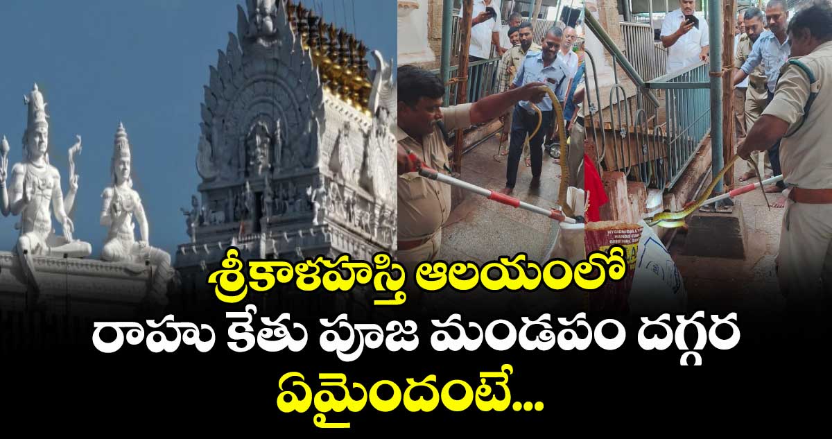 శ్రీకాళహస్తి ఆలయంలో రాహు కేతు పూజ మండపం దగ్గర ఏమైందంటే...