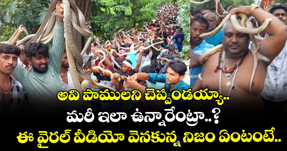 అవి పాములని చెప్పండయ్యా.. మరీ ఇలా ఉన్నారేంట్రా..? ఈ వైరల్ వీడియో వెనకున్న నిజం ఏంటంటే..