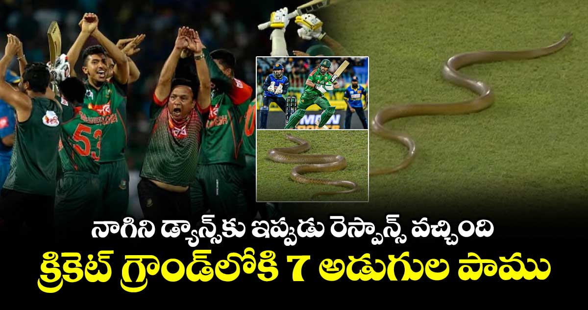 SL vs BAN: నాగిని డ్యాన్స్‌కు ఇప్పుడు రెస్పాన్స్ వచ్చింది: క్రికెట్ గ్రౌండ్‌లోకి 7 అడుగుల పాము