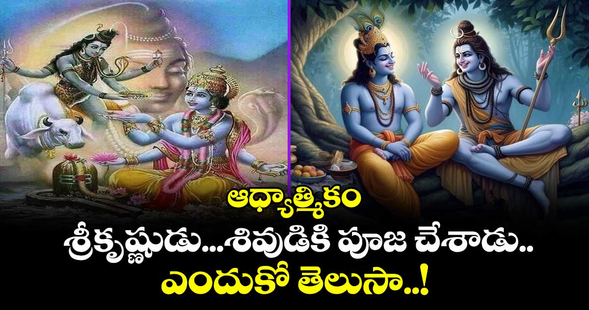 ఆధ్యాత్మికం: శ్రీకృష్ణుడు...శివుడికి పూజ చేశాడు.. ఎందుకో తెలుసా..! 