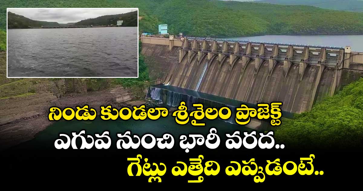 Srisailam: నిండు కుండలా శ్రీశైలం ప్రాజెక్ట్.. ఎగువ నుంచి భారీ వరద.. గేట్లు ఎత్తేది ఎప్పుడంటే..