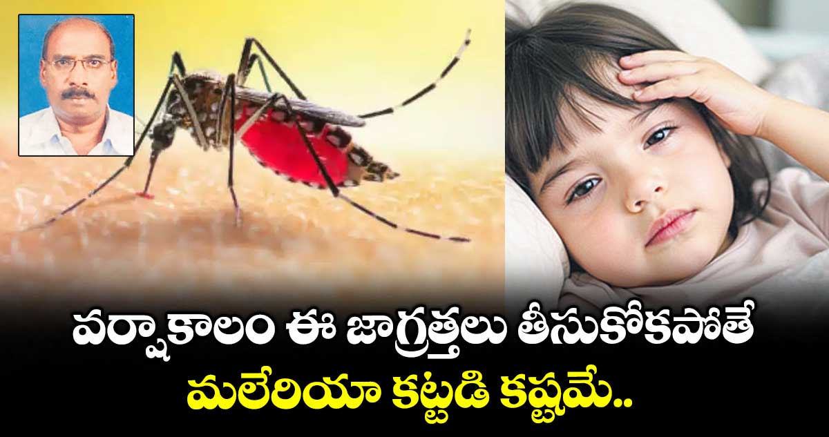 వర్షాకాలం ఈ జాగ్రత్తలు తీసుకోకపోతే మలేరియా కట్టడి కష్టమే.. 