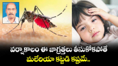 వర్షాకాలం ఈ జాగ్రత్తలు తీసుకోకపోతే మలేరియా కట్టడి కష్టమే.. 