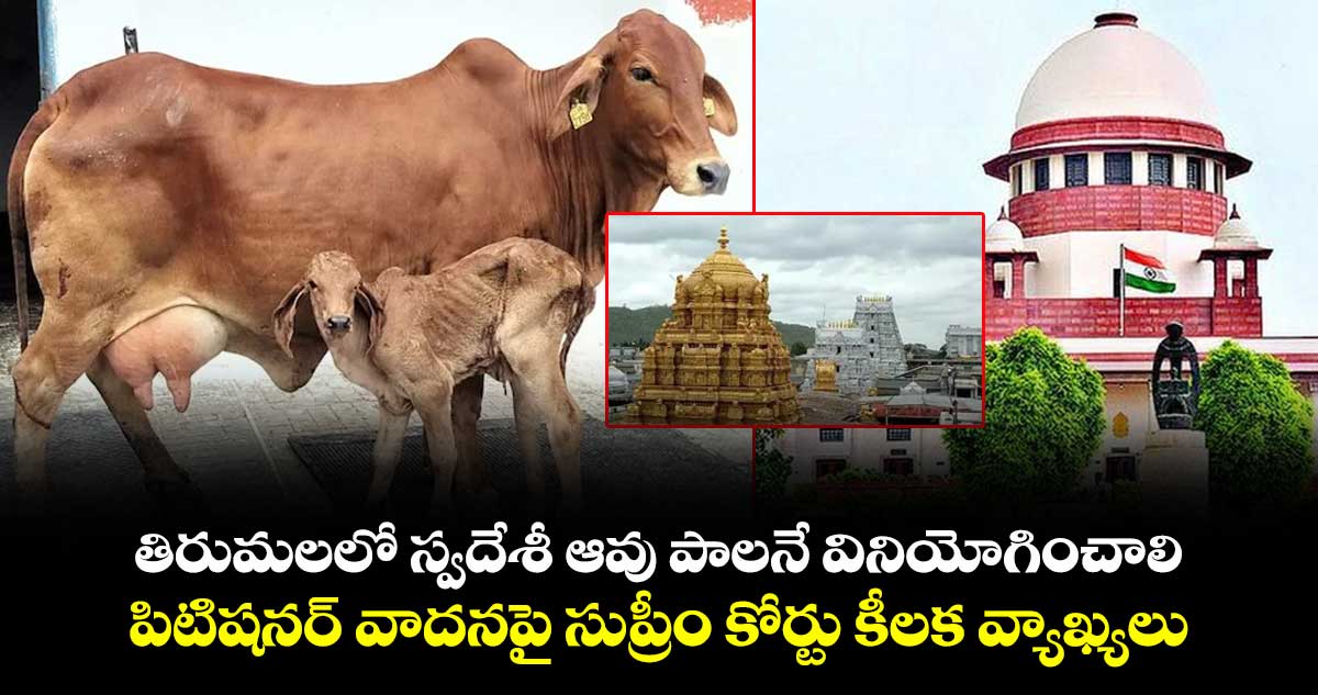 తిరుమలలో స్వదేశీ ఆవు పాలనే వినియోగించాలి.. పిటిషనర్ వాదనపై సుప్రీం కోర్టు కీలక వ్యాఖ్యలు