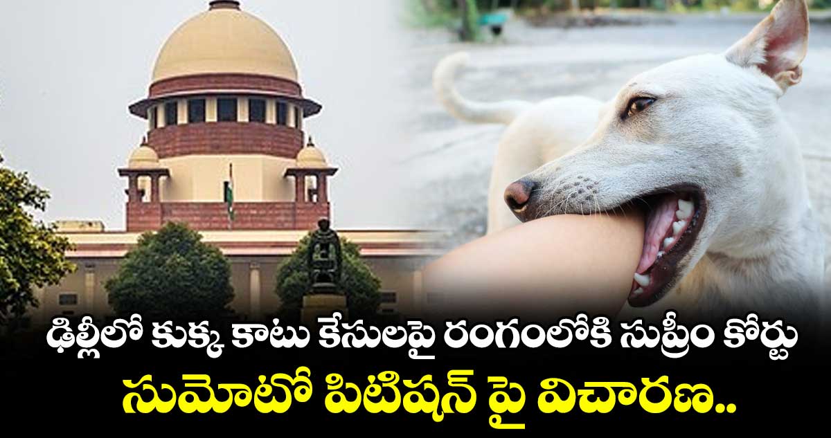 ఢిల్లీలో కుక్క కాటు కేసులపై రంగంలోకి సుప్రీం కోర్టు.. సుమోటో పిటిషన్ పై విచారణ..