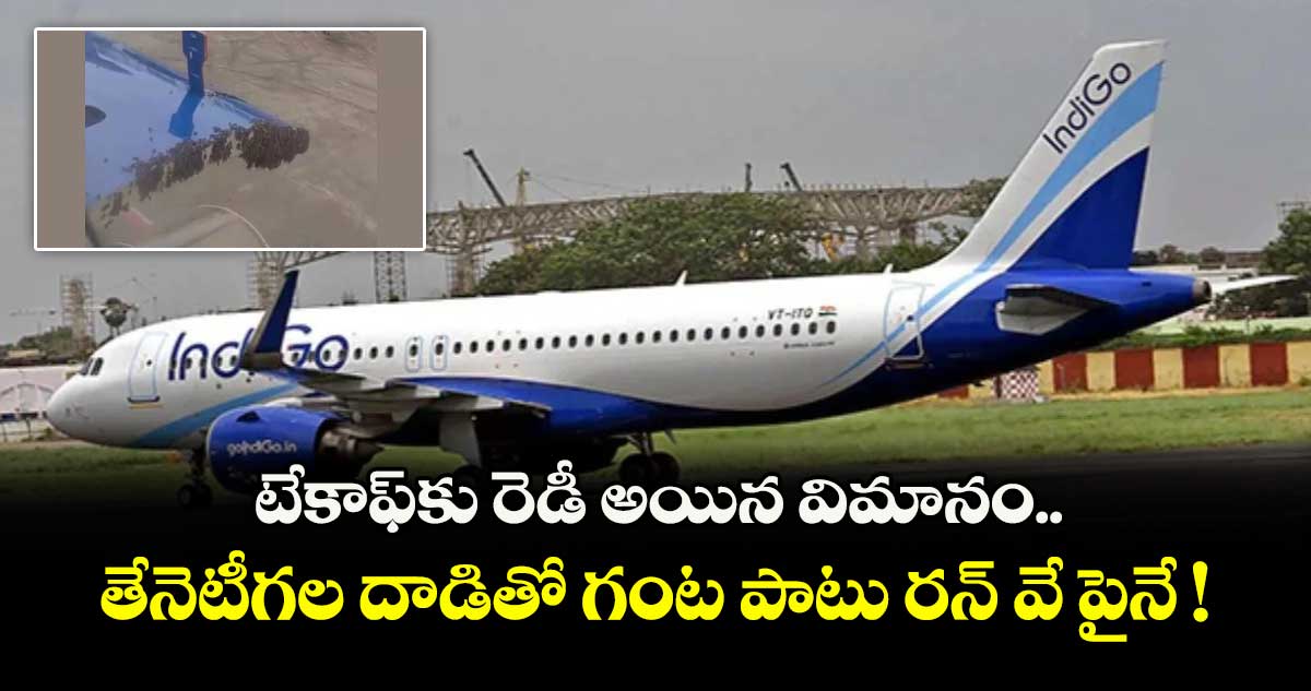 టేకాఫ్కు రెడీ అయిన విమానం.. తేనెటీగల దాడితో గంట పాటు రన్ వే పైనే !