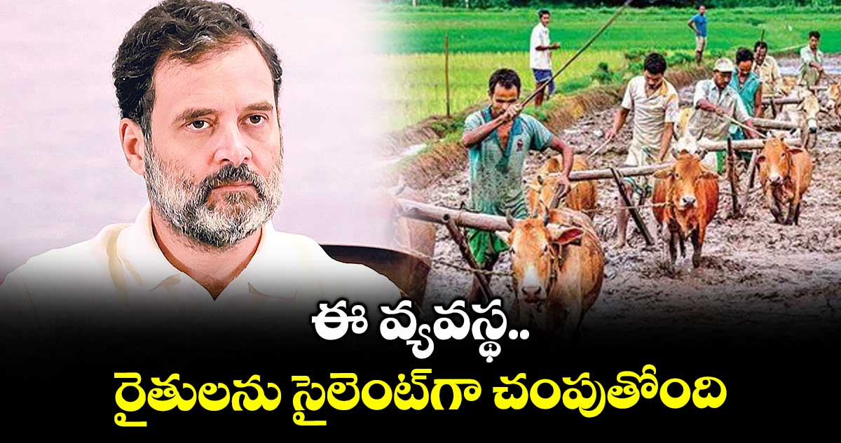 ఈ వ్యవస్థ.. రైతులను సైలెంట్గా చంపుతోంది: రాహుల్గాంధీ