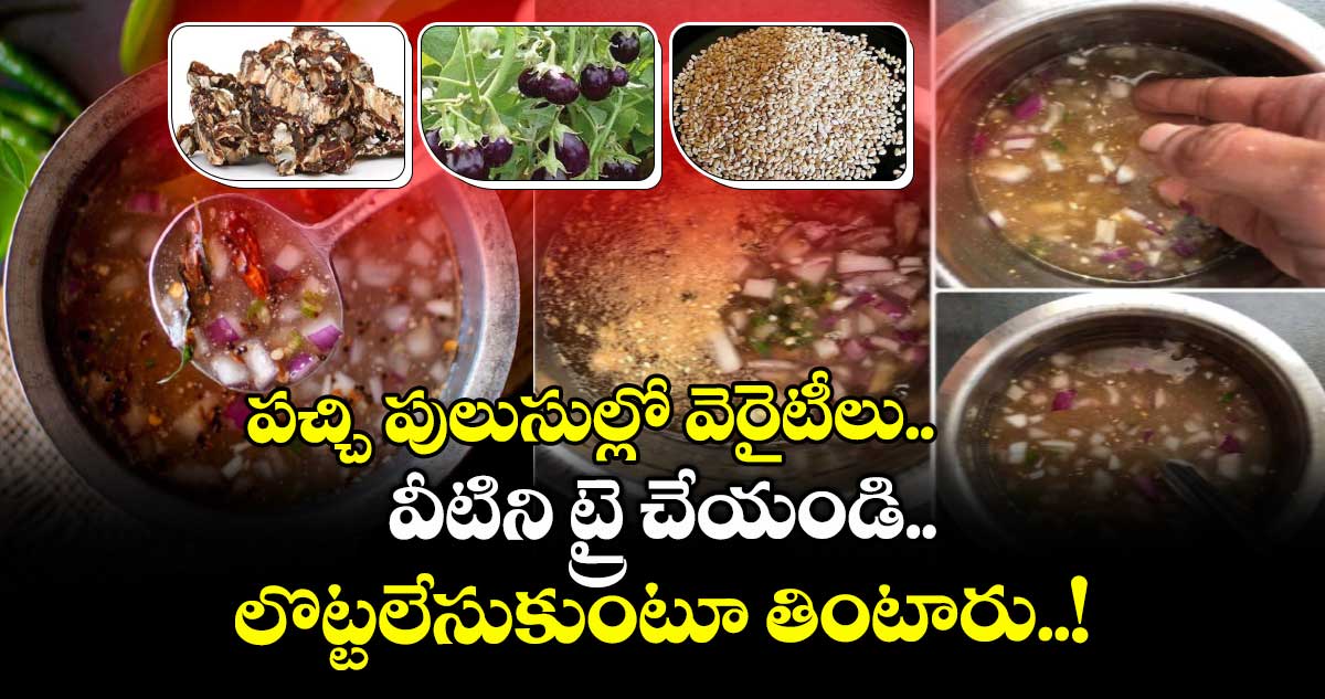 Telangana kitchen : పచ్చి పులుసుల్లో వెరైటీలు.. వీటిని ట్రై చేయండి.. లొట్టలేసుకుంటూ తింటారు..!