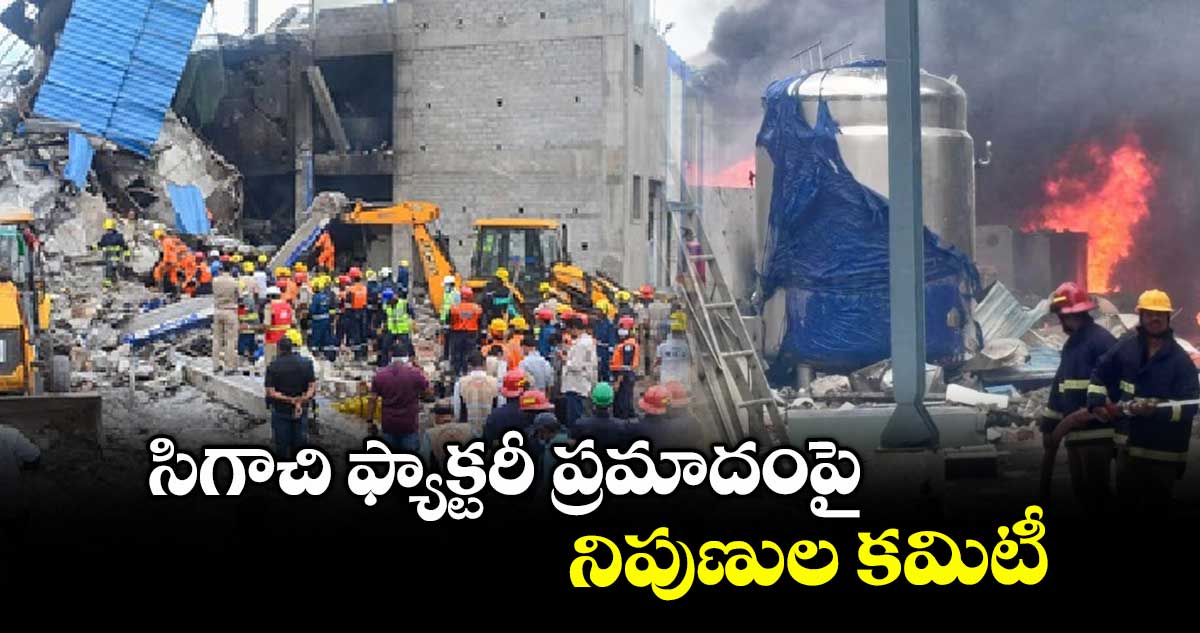 సిగాచి ఫ్యాక్టరీ ప్రమాదంపై  నిపుణుల కమిటీ