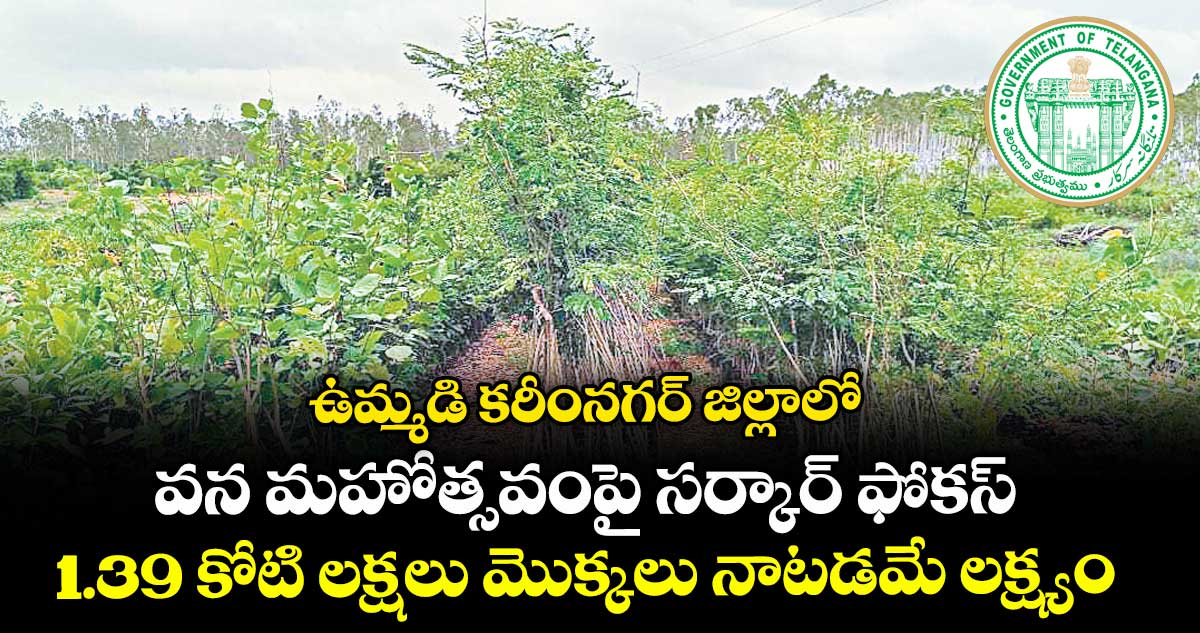 ఉమ్మడి కరీంనగర్ జిల్లాలో వన మహోత్సవంపై సర్కార్ ఫోకస్ .. 1.39 కోటి లక్షలు మొక్కలు నాటడమే లక్ష్యం