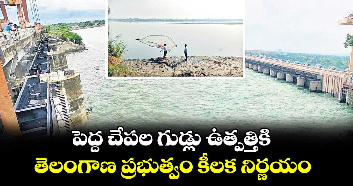 పెద్ద చేపల గుడ్లు ఉత్పత్తికి తెలంగాణ ప్రభుత్వం కీలక నిర్ణయం