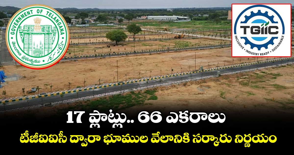 17 ప్లాట్లు.. 66 ఎకరాలు .. టీజీఐఐసీ ద్వారా భూముల వేలానికి సర్కారు నిర్ణయం