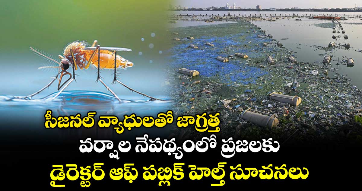 సీజనల్ వ్యాధులతో జాగ్రత్త .. వర్షాల నేపథ్యంలో ప్రజలకు డైరెక్టర్ ఆఫ్ పబ్లిక్ హెల్త్ సూచనలు