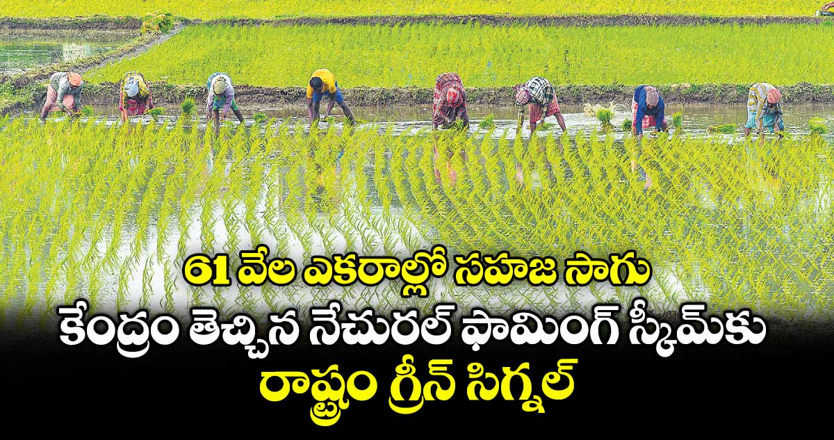 61వేల ఎకరాల్లో సహజ సాగు .. కేంద్రం తెచ్చిన నేచురల్ ఫామింగ్ స్కీమ్‌‌‌‌‌‌‌‌కు రాష్ట్రం గ్రీన్ సిగ్నల్