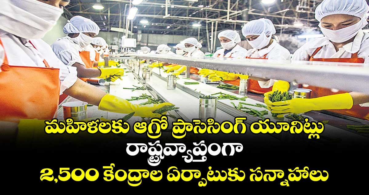 మహిళలకు ఆగ్రో ప్రాసెసింగ్ యూనిట్లు .. రాష్ట్రవ్యాప్తంగా 2,500 కేంద్రాల ఏర్పాటుకు సన్నాహాలు