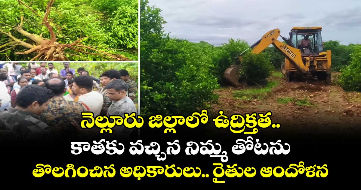 నెల్లూరు జిల్లాలో ఉద్రిక్తత.. కాతకు వచ్చిన నిమ్మ తోటను తొలగించిన అధికారులు.. రైతుల ఆందోళన