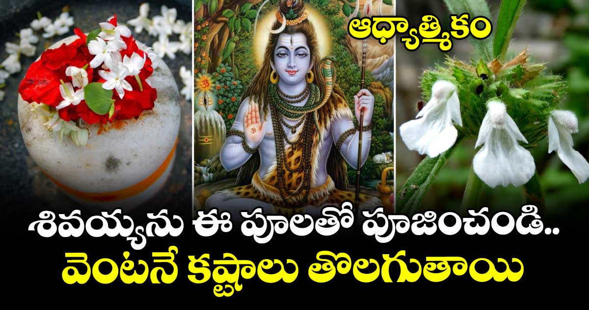 ఆధ్యాత్మికం: శివయ్యను ఈ పూలతో పూజించండి.. వెంటనే కష్టాలు తొలగుతాయి