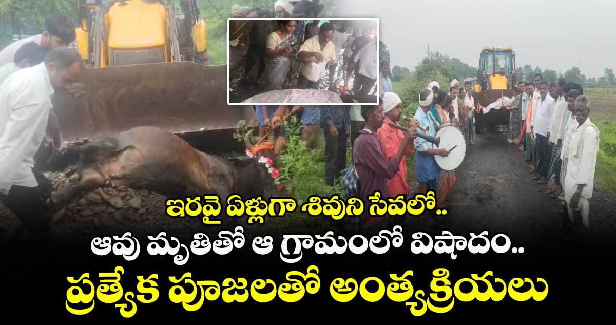 ఇరవై ఏళ్లుగా శివుని సేవలో.. ఆవు మృతితో ఆ గ్రామంలో విషాదం.. ప్రత్యేక పూజలతో అంత్యక్రియలు