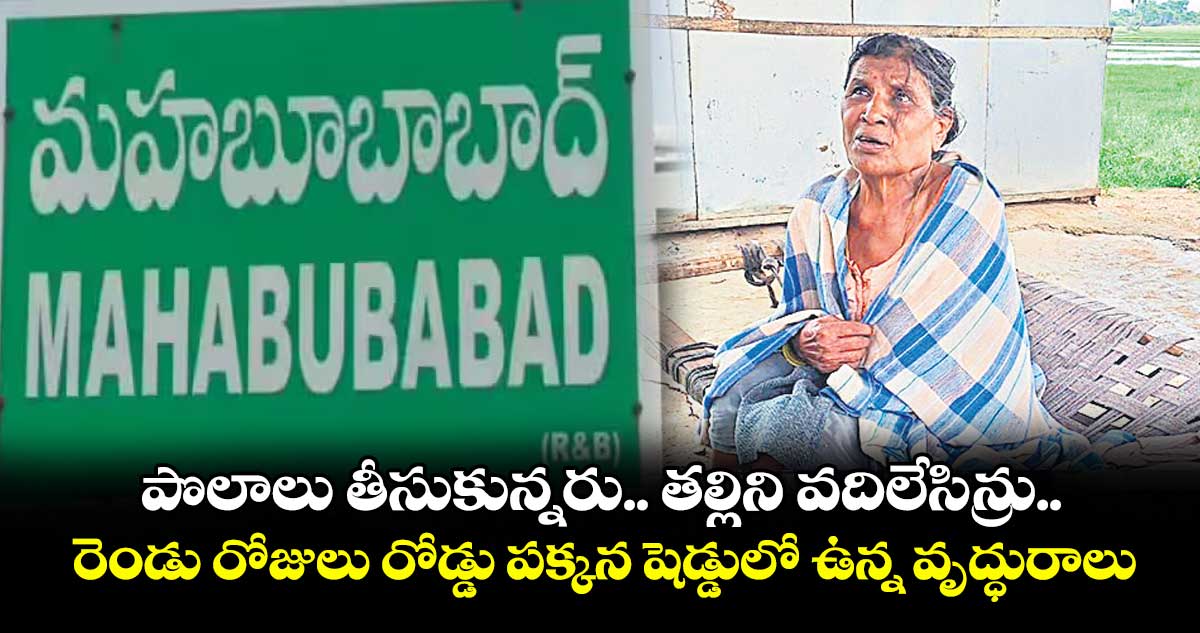 పొలాలు తీసుకున్నరు.. తల్లిని వదిలేసిన్రు.. రెండు రోజులు రోడ్డు పక్కన షెడ్డులో ఉన్న వృద్ధురాలు