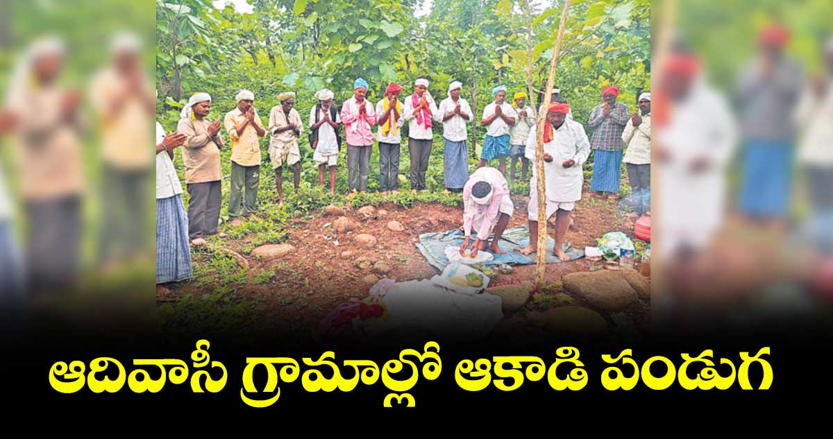 ఆదివాసీ గ్రామాల్లో ఆకాడి పండుగ