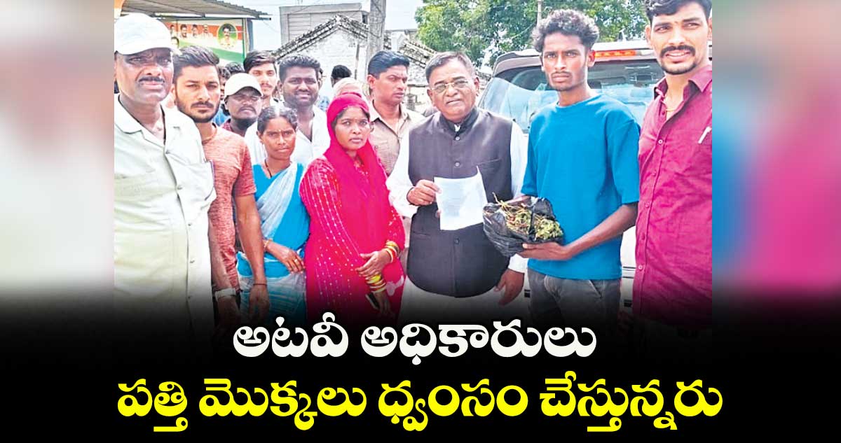అటవీ అధికారులు పత్తి మొక్కలు ధ్వంసం చేస్తున్నరు: గిరిజనుల