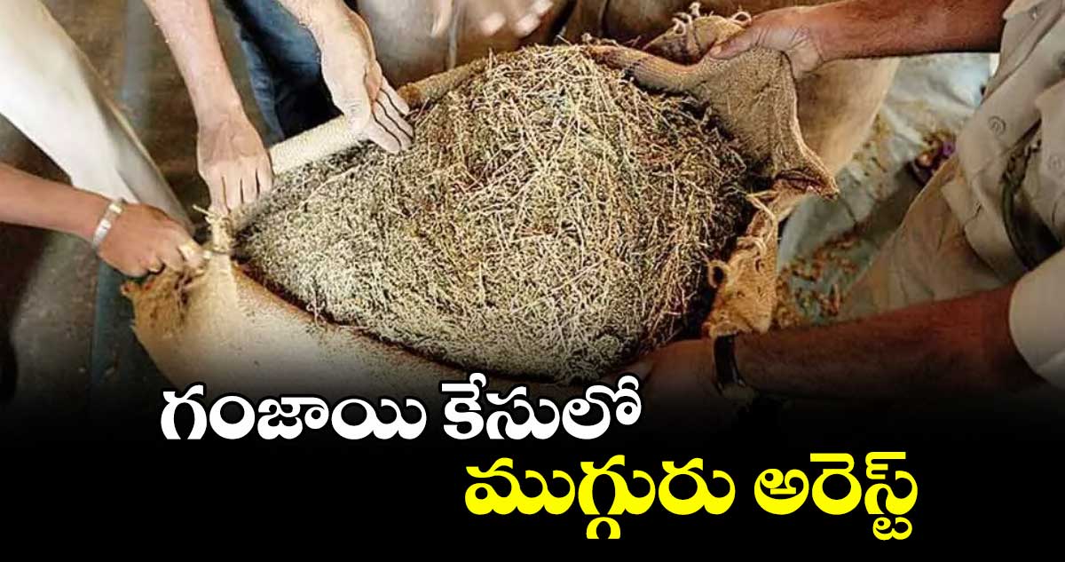 గంజాయి కేసులో ముగ్గురు అరెస్ట్