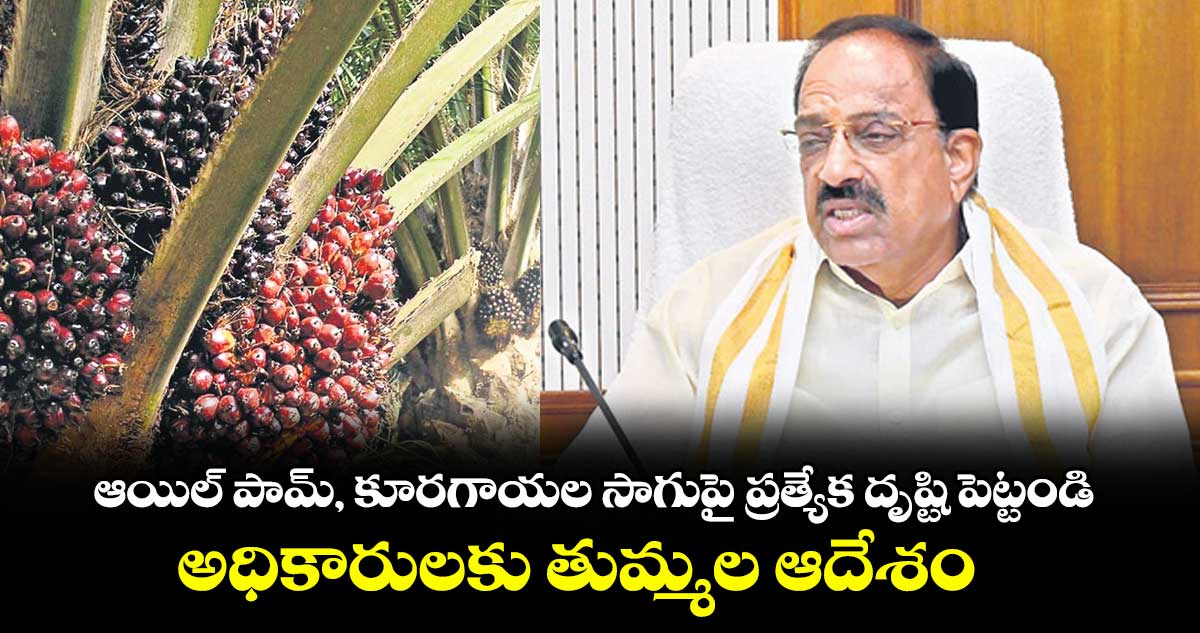 ఆయిల్ పామ్, కూరగాయల సాగుపై ప్రత్యేక దృష్టి పెట్టండి..అధికారులకు తుమ్మల ఆదేశం