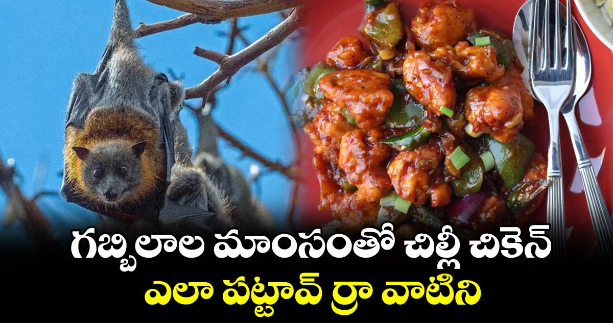 గబ్బిలాల మాంసంతో చిల్లీ చికెన్.. ఎలా పట్టావ్ ర్రా వాటిని