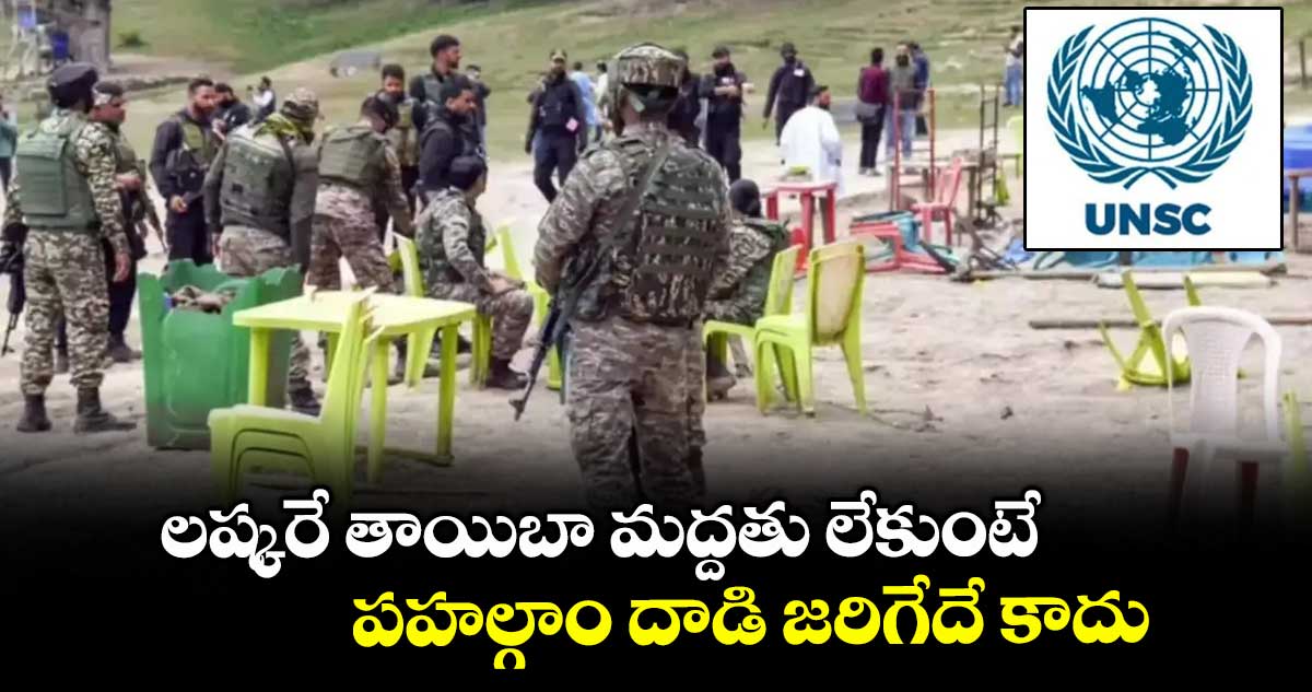 లష్కరే తాయిబా మద్దతు లేకుంటే పహల్గాం దాడి జరిగేదే కాదు: UNSC ఆంక్షల బృందం
