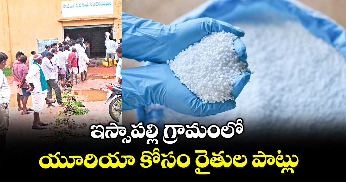 ఇస్సాపల్లి గ్రామంలో యూరియా కోసం  రైతుల పాట్లు