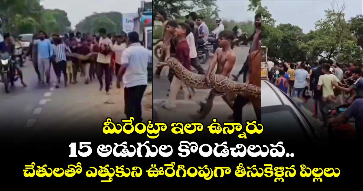 మీరేంట్రా ఇలా ఉన్నారు: 15 అడుగుల కొండచిలువ.. చేతులతో ఎత్తుకుని ఊరేగింపుగా తీసుకెళ్లిన పిల్లలు