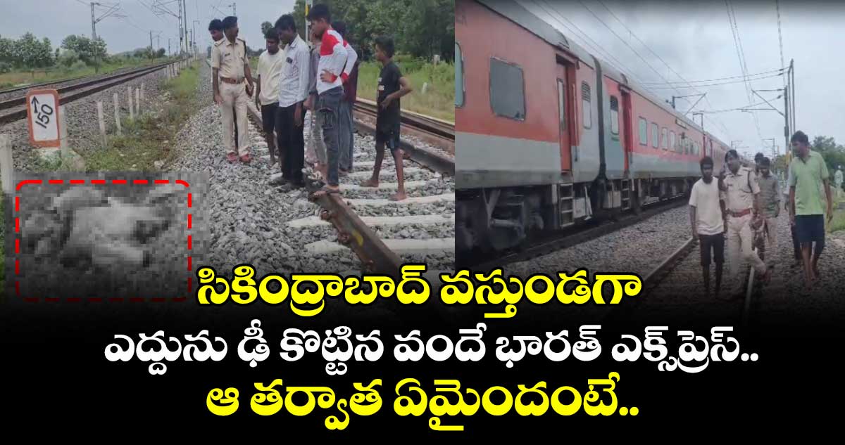 సికింద్రాబాద్ వస్తుండగా ఎద్దును ఢీ కొట్టిన వందే భారత్ ఎక్స్ప్రెస్.. ఆ తర్వాత ఏమైందంటే..
