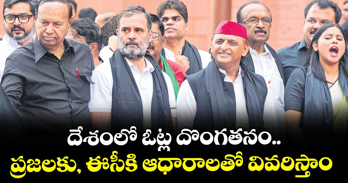 దేశంలో  ఓట్ల దొంగతనం.. ప్రజలకు, ఈసీకి ఆధారాలతో వివరిస్తాం: రాహుల్ గాంధీ 
