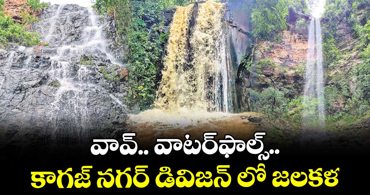 వావ్.. వాటర్ఫాల్స్.. కాగజ్ నగర్ డివిజన్ లో జలకళ