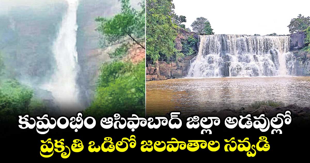 కుమ్రంభీం ఆసిఫాబాద్ జిల్లా అడవుల్లో ప్రకృతి ఒడిలో జలపాతాల సవ్వడి