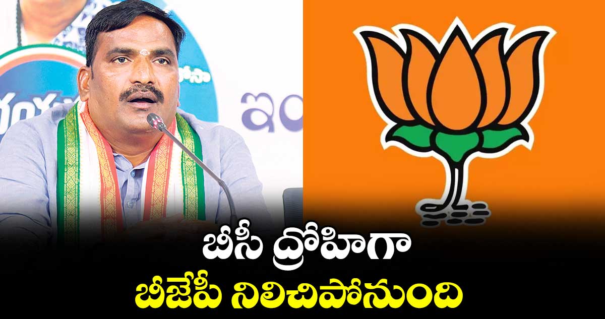 బీసీ ద్రోహిగా బీజేపీ నిలిచిపోనుంది : విప్ బీర్ల అయిలయ్య