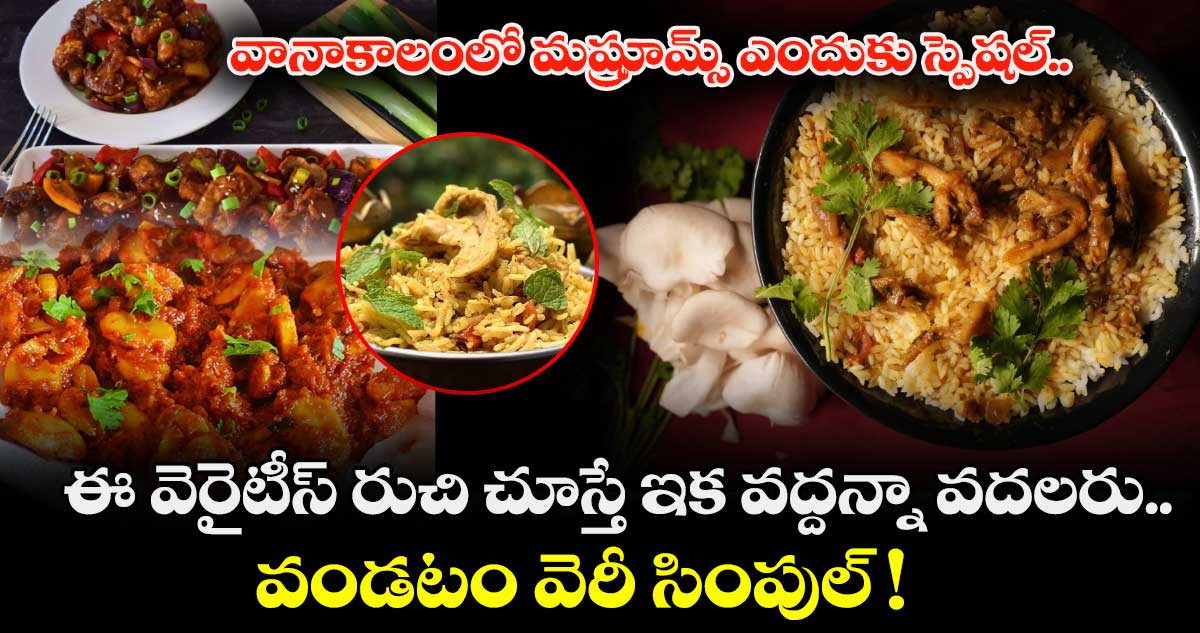 వానాకాలంలో మష్రూమ్స్ ఎందుకు స్పెషల్.. ఈ వెరైటీస్ రుచి చూస్తే ఇక వద్దన్నా వదలరు.. వండటం వెరీ సింపుల్ !