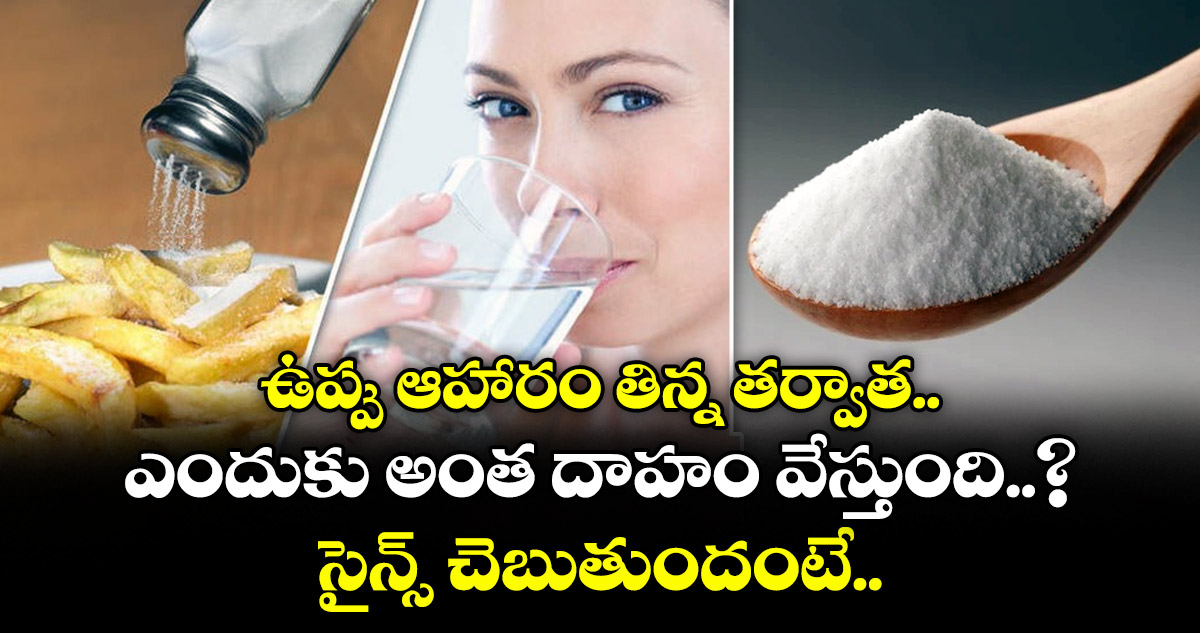 health tips: ఉప్పు ఆహారం తిన్న తర్వాత ఎందుకు అంత దాహం వేస్తుంది..? సైన్స్ చెబుతుందంటే..