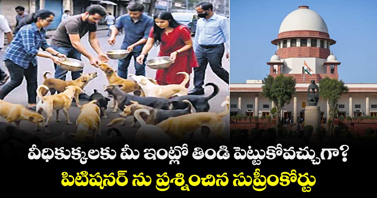 వీధికుక్కలకు మీ ఇంట్లో తిండి పెట్టుకోవచ్చుగా?: పిటిషనర్ ను ప్రశ్నించిన సుప్రీంకోర్టు