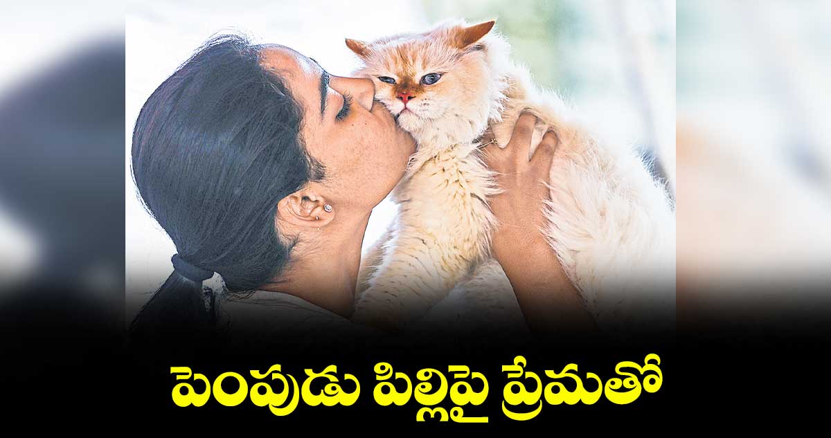 పెంపుడు పిల్లిపై ప్రేమతో..