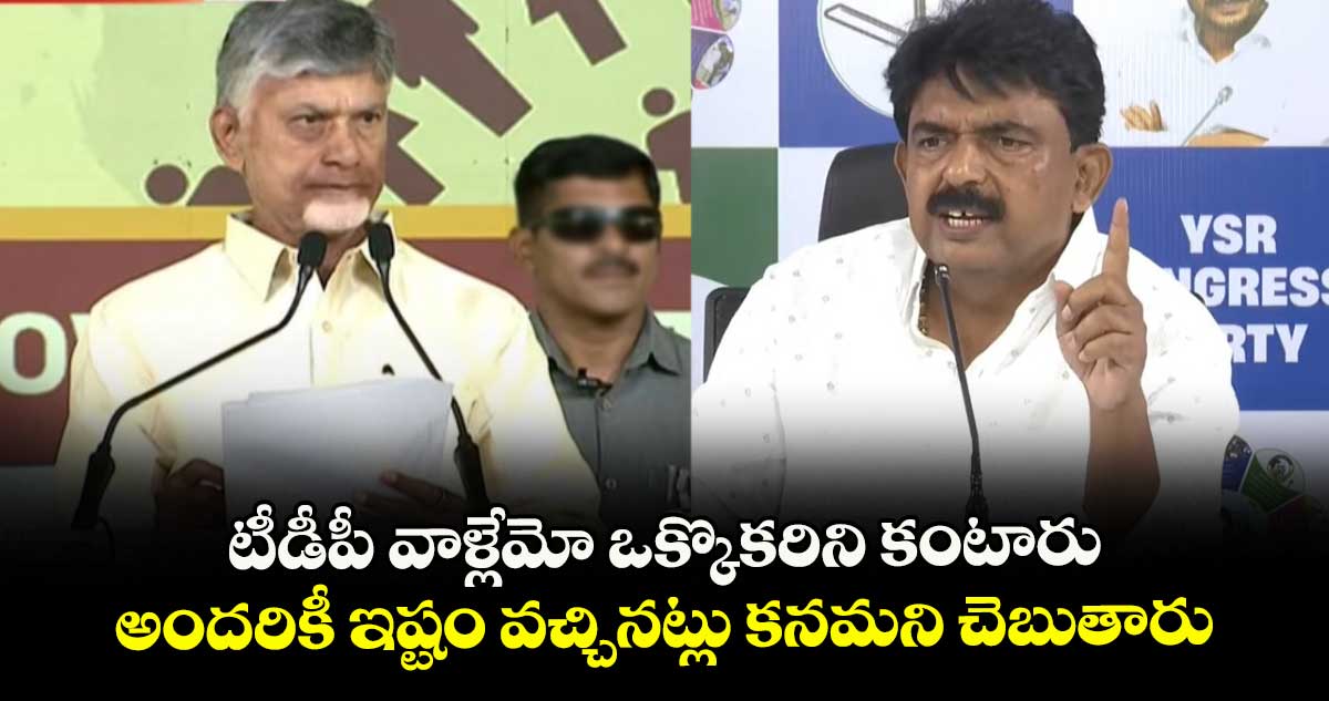 టీడీపీ వాళ్లేమో ఒక్కొకరిని కంటారు.. అందరికీ ఇష్టం వచ్చినట్లు కనమని చెబుతారు: పేర్ని నాని