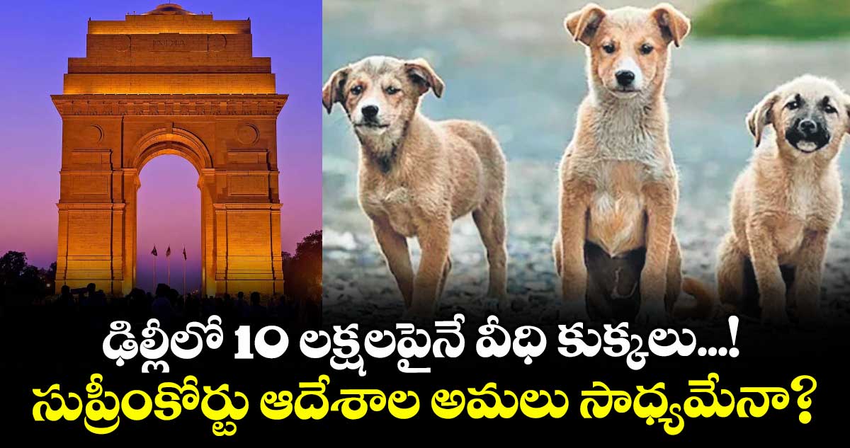 ఢిల్లీలో 10 లక్షలపైనే వీధి కుక్కలు...! సుప్రీంకోర్టు ఆదేశాల అమలు సాధ్యమేనా?