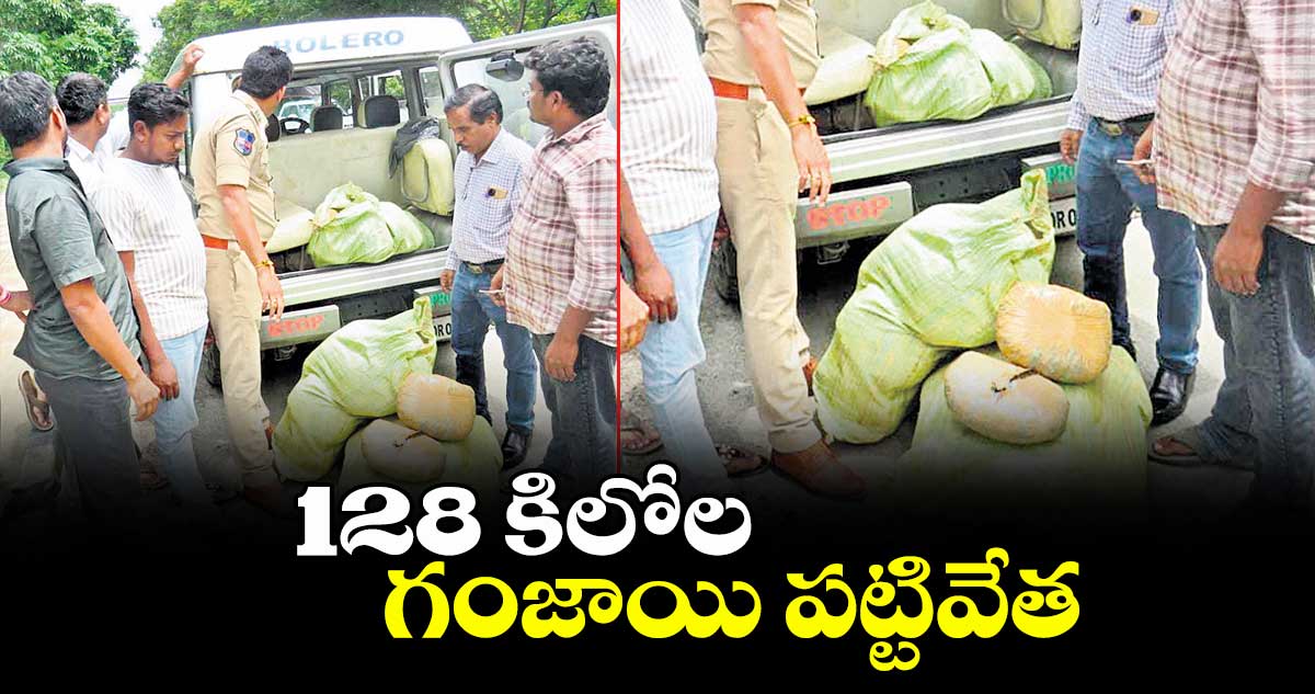 128 కిలోల గంజాయి పట్టివేత