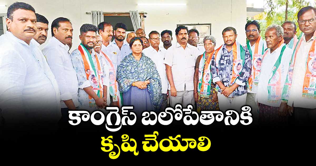 కాంగ్రెస్ బలోపేతానికి కృషి చేయాలి 