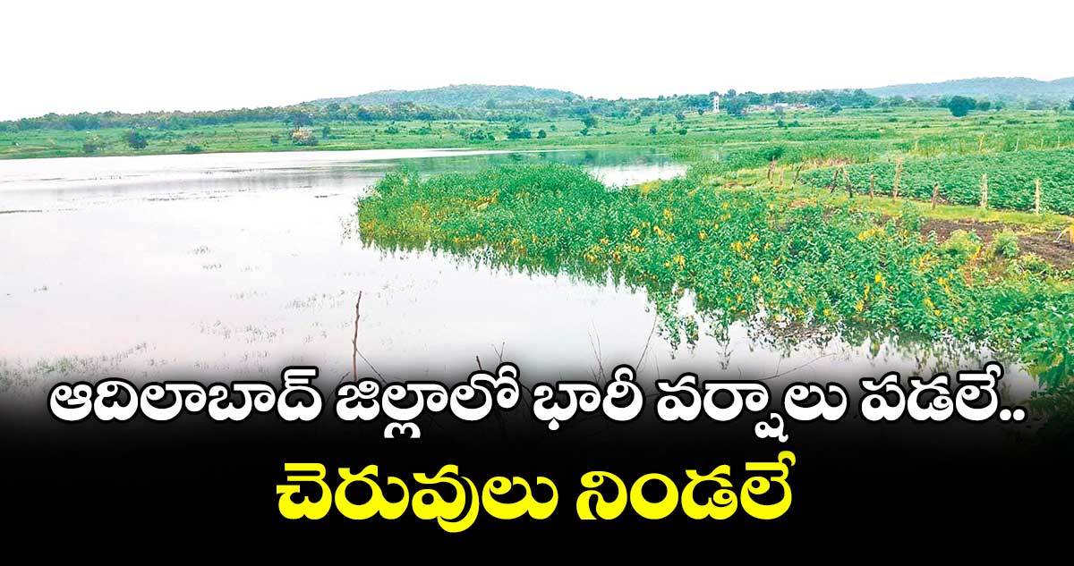 ఆదిలాబాద్ జిల్లాలో భారీ వర్షాలు పడలే.. చెరువులు నిండలే