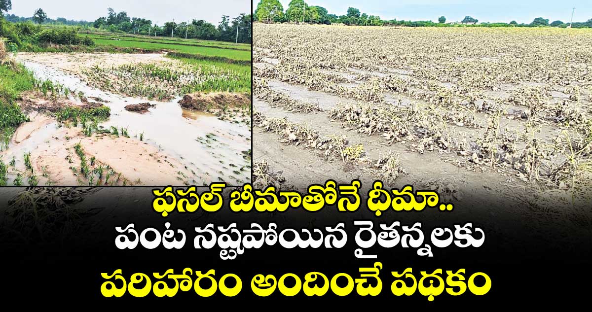 ఫసల్ బీమాతోనే ధీమా.. పంట నష్టపోయిన రైతన్నలకు పరిహారం అందించే పథకం