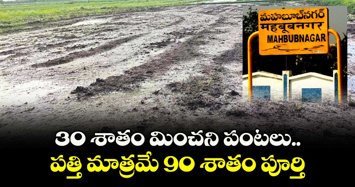 30 శాతం మించని పంటలు..పత్తి మాత్రమే 90 శాతం పూర్తి
