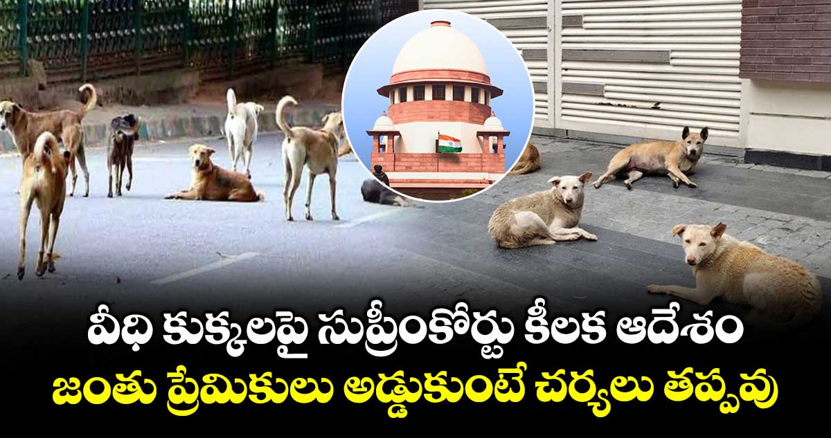  వీధి కుక్కలపై సుప్రీంకోర్టు కీలక ఆదేశం.. జంతు ప్రేమికులు అడ్డుకుంటే చర్యలు తప్పవు.. 